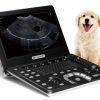 Portátil D1 Veterinario marca VINNO