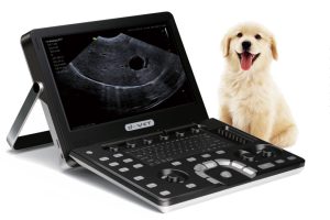Portátil D1 Veterinario marca VINNO