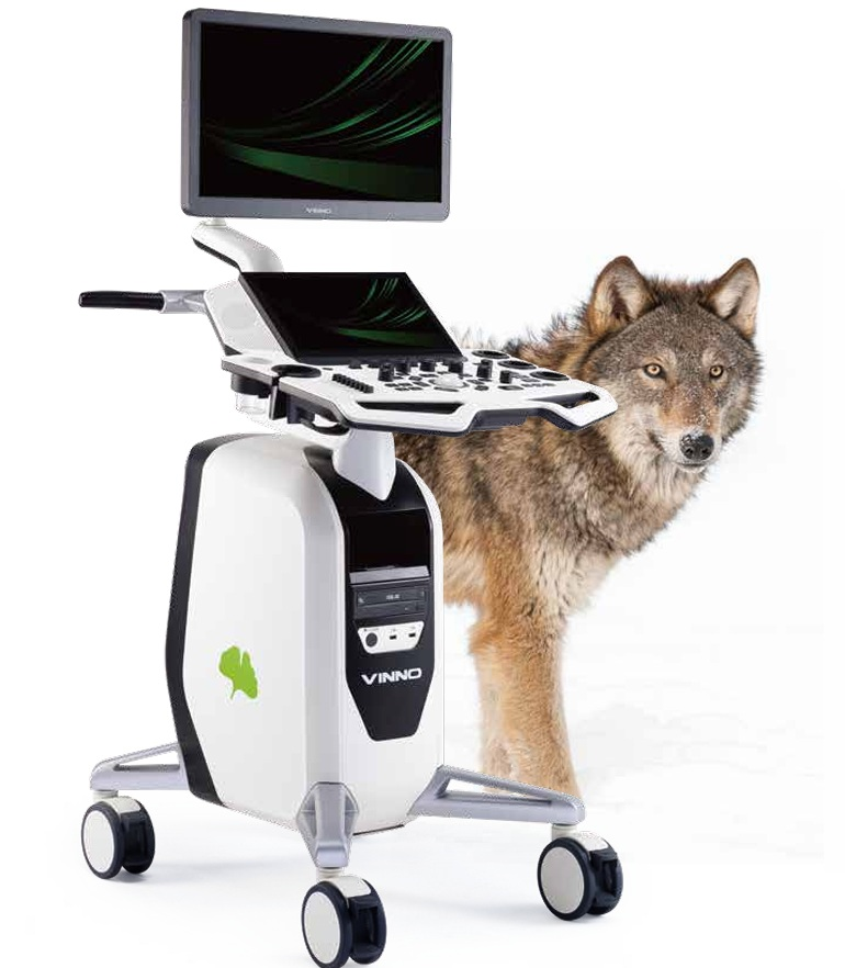 R300_ESTACIONARIO-VETERINARIO